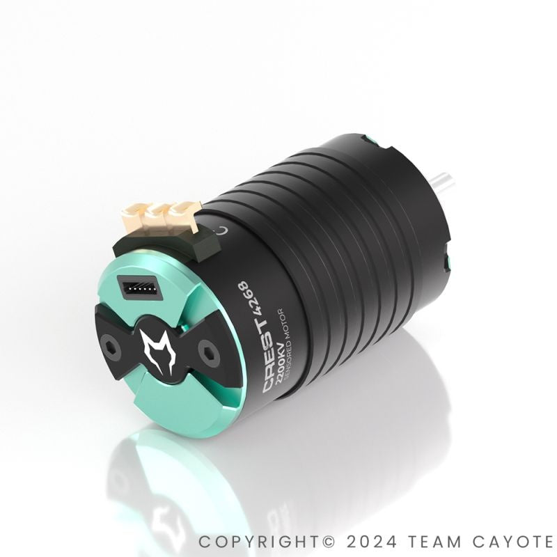 1/8 CREST 4268 Brushless Motor CAYOTE für 1/8