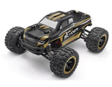 Blackzon Slyder MT Monster Truck 1/16 RTR