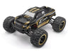 Blackzon Slyder MT Monster Truck 1/16 RTR