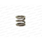 Infinity CLUTCH SPRING (1) R0277 - RCXX - rc racing for professionals