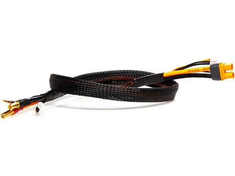 Spektrum Charging Cable IC3 Male - 5mm Bullet - SPMXCA316 - RCXX - RC Racing Shop | RC Models | Tuning & Spare Parts for Professionals