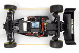 Maverick Microbe 1/24 Buggy
