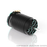 1/8 CREST 4268 Brushless Motor CAYOTE für 1/8